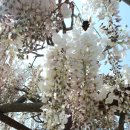 무안북중학교 이미지