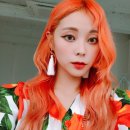 헬로알로 이미지