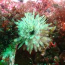 스쿠바캠프 이미지