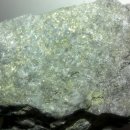 리빙스톤 이미지