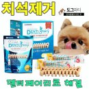 빗질해줄개 이미지