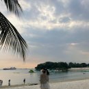 궁평항 어항구역 내 주차장 일부 이미지