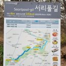 서리풀길 14 이미지