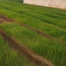 혜은농장 이미지