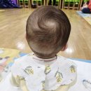 백합어린이집 | [육아용품] 아기선팩트 찾는다면? 띠아프 쉴드 선팩트 SPF50+ PA++++ 무기자차 봄철 자외선차단 후기