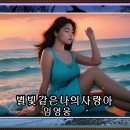 별빛같은 나의사랑아-임영웅 이미지