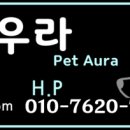 삐삐앤몽 이미지