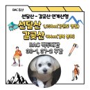 상운사 - 1185 | BAC 백두대간 선달산/갈곶산 연계코스(강원도 영월 / 경북 봉화 상운사 코스)