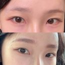 자연스럽고 예쁜 담채 눈썹 마곡눈썹 아티스타 방문기 💖