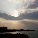 제주도파티게스트하우스문어오빠