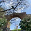 자연알로(보령) 이미지