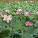 용성3길 이미지