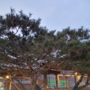 가평남이섬투투스파펜션 이미지