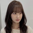 헤어다옴 이미지