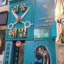 해밀염색#