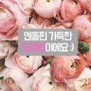 커피인류위례중앙
