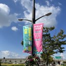 갯골수로1 이미지