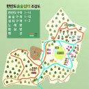 한반도솔숲쉼터 이미지