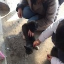 4공주농장 이미지