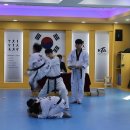 조한태권도장 이미지