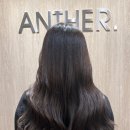 앤써헤어 회기본점 - 프리미엄 크리닉 다연 디자이너 / 경희대미용실 추천