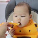 바자르시크 네이버블로그