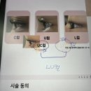 수원역 속눈썹펌ㅣ유목민 정착지 스튜디오 본