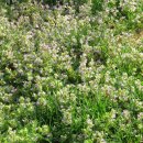 서림농원 이미지