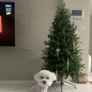 광명슈퍼 이미지