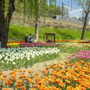 용비쉼터 이미지