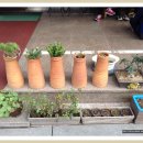 홀인원공인중개사사무소 이미지