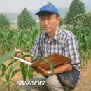 콘개발