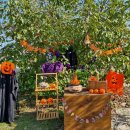 사계절농장 이미지