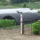 증산농장 이미지