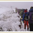 지리산골 이미지