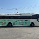 봄나드리투어 이미지