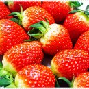 퍼스트탑치과의원 이미지