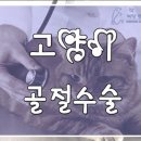 녹양동물병원 이미지