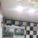 지니라인 이미지