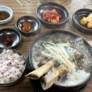 경주영양밀면 | 경주영양밀면 본점 솔직 내돈내산 후기