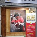 둔산타이거스크린골프존 이미지
