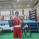 용인대 탑 복싱 이미지