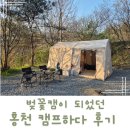 (주)하이크 | 벚꽃캠 캠프하다 4월 둘째주 네이처하이크 에어텐트피칭 후기!