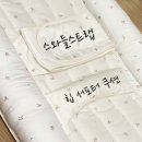 출산선물추천 비주비노 높이조절 역류방지쿠션 휴대용 아기침대 역방쿠