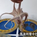 KBS 생생정보 - 군포 숙성 한우 ＜소잡는 해녀 정육식당＞ 정보 이미지