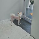 까끌레멍 이미지