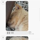 띵원 이미지