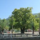 대곡경로당 이미지