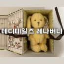 블루버니 | 테디테일즈 레나버니 영문판 S사이즈 레몬버터 어린이날 선물 후기