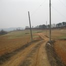 수원시 팔달구 팔달로 이미지